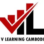 V-Learning company icon