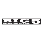 Big Five Inc company icon