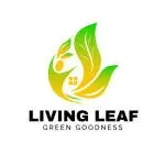 Living leaf company icon