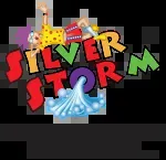 Silver Storm Water Theme Park company icon