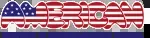 American Lingua institute of spoken English company icon
