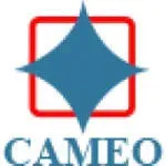 Cameo Corporate Services Limited company icon