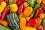 Pepper Content company icon
