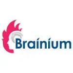 Brainium Information Technologies Pvt. Ltd. company icon