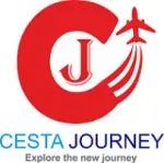 CESTA SHIPPING PVT LTD company icon