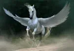 Pegasus Mortgage Lending company icon