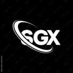 SGX Minerals Pvt Ltd company icon