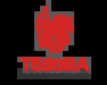 Tedora Hacker Hcademy company icon