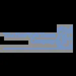 The New York Times company icon