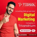 Tidsol company icon