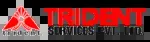 Trident HRM Services Pvt Ltd company icon