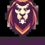 West Delhi Lions Cricket company icon