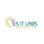 Yesventive IT Labs Pvt Ltd company icon
