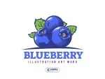 Blueberry’s India company icon