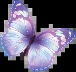 Butterfly EduFields Pvt Ltd company icon