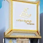 Lalithaa Jewellery Mart Ltd company icon
