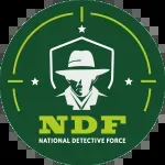 Nationalist Detective Force company icon