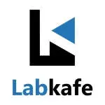 Orientallabs Retail Services Private Limited company icon