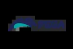 Pegasystems company icon