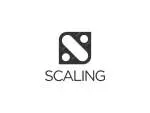 Scaling Structures company icon