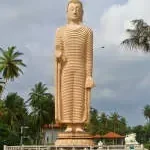 Sri Chaitanya schools company icon
