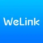Welink dreamstudy company icon