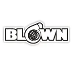 BLOWN company icon
