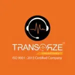 Transorze Information Processing Solutions Private… company icon