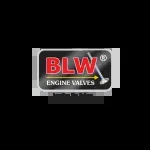 Blw engine Valves pvt ltd company icon