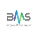 Bridgeway Medical Systems company icon