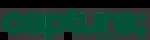 Capture Art company icon