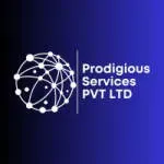 Prodigious Services Pvt. Ltd. company icon