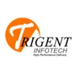 Trigent Software Pvt Ltd company icon