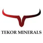 Tekor Minerals Private Limited company icon