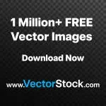 Vittadarshi Business Advisors company icon