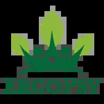 Ergopsy Resources company icon