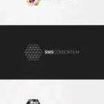 SMS CONSORTIUM company icon