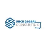 SNCO CONSULTANCY AND FILING SERVICES LLP company icon