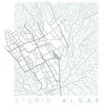 Studio Algae company icon