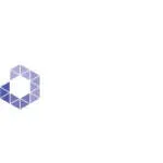 BINDAL TECHNOPOLYER PVT LTD company icon