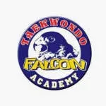 Falcon Academy company icon